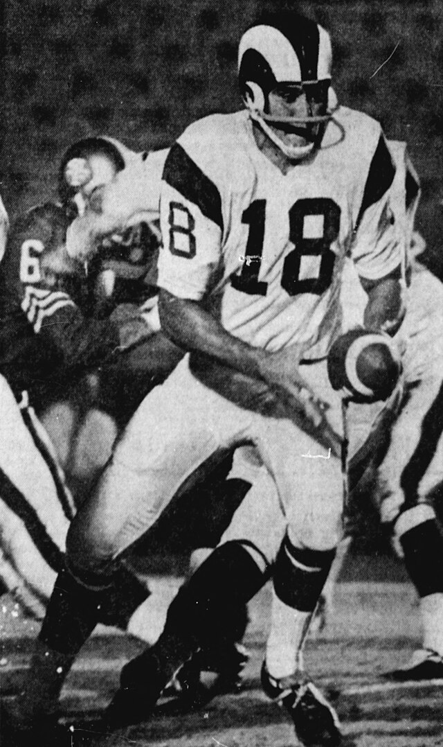 Roman Gabriel